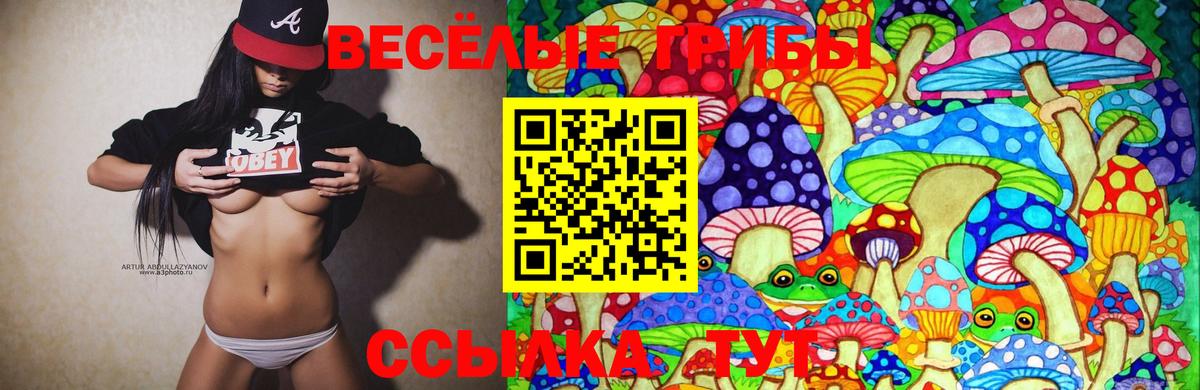 Галлюциногенные грибы мицелий  Галлюциногенные грибы Magic Shrooms  Вход с VPN  Карпинск 