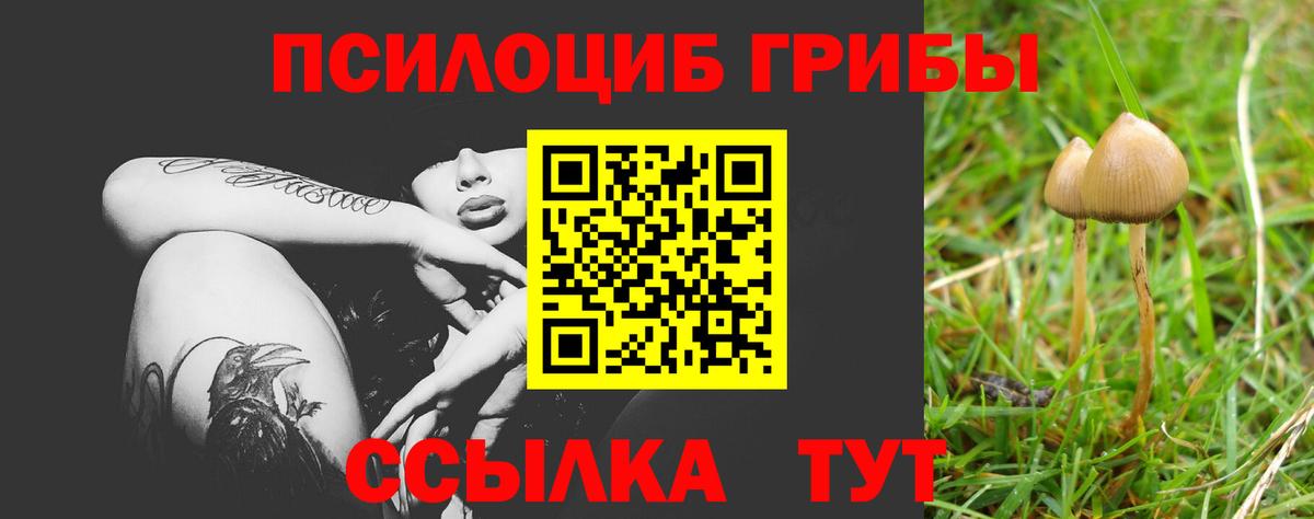 Псилоцибиновые грибы ЛСД Карпинск